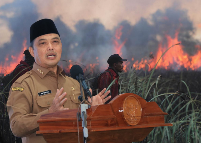 Gubernur Norsan Pantau Karhutla Kalbar Setiap Hari, BPBD Wajib Laporkan Kondisi Lapangan
