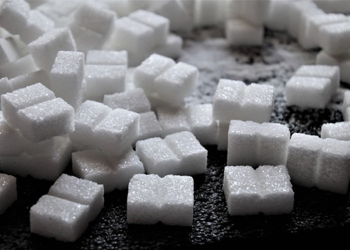 Gula dalam Konteks Kesehatan, Seimbangkan Konsumsi untuk Manfaat Optimal