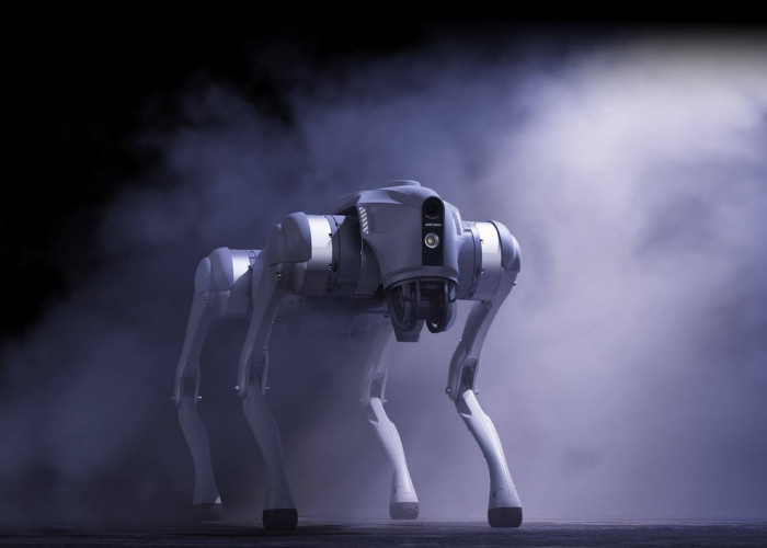 Robot Quadruped Unitree: Dari Riset AI hingga Operasi Industri Berat