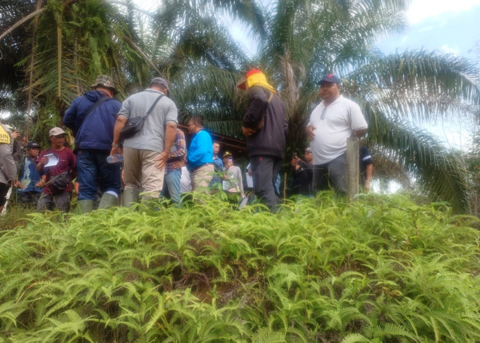 Sidang Lapangan Perampasan Hak Antara Eddy Hartono Dan PT. IMP, Muncul Patok Baru  	