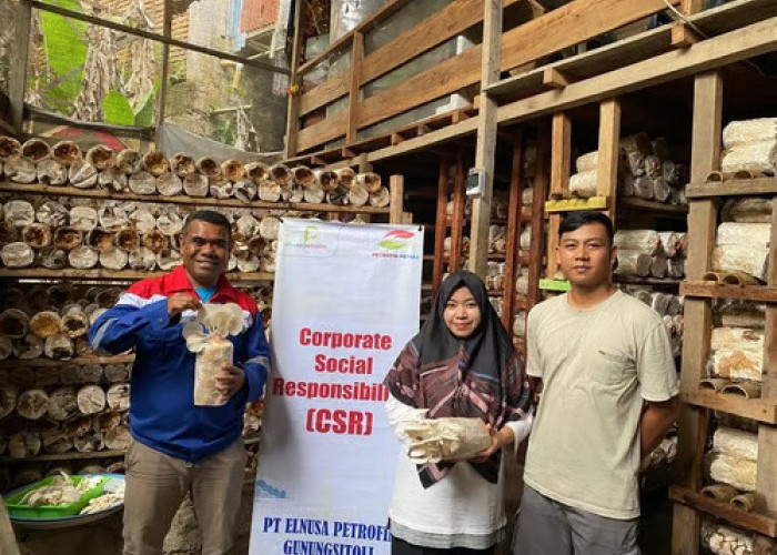 Melayani dengan Sepenuh Hati dari Sumatra hingga Papua, Elnusa Petrofin Laksanakan 1.010 Kegiatan CSR Sepanjan