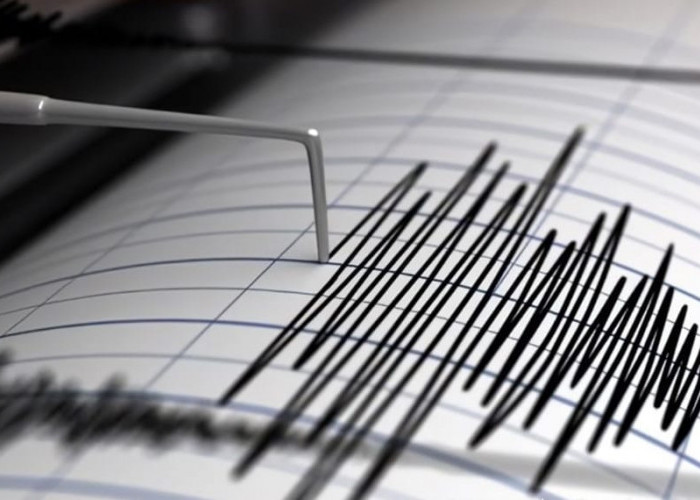 Gempa Magnitudo 3,8 Guncang Bandung, Jawa Barat : Cek Panduan MMI dan Wilayah Rawan Gempa