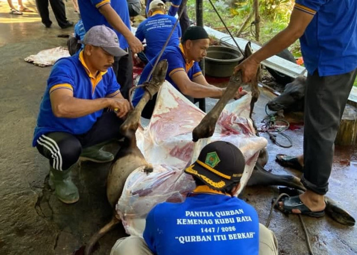 Dorong Semangat Berkurban, Wabup Sukiryanto Dukung Program Kemenag Kubu Raya