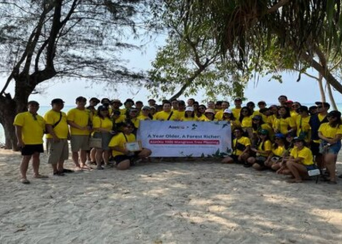 Cerita Penanaman 1.000 Mangrove di Pulau Pari AsetKu Bersama LindungiHutan