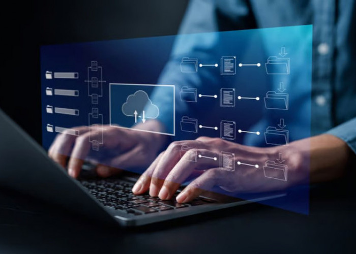 Apa itu Sistem ERP, Jenis, Fungsi dan Contoh untuk Perusahaan