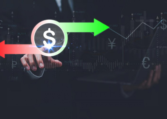 Cash Flow vs Profit: Mana yang Lebih Penting bagi Investor Pemula?