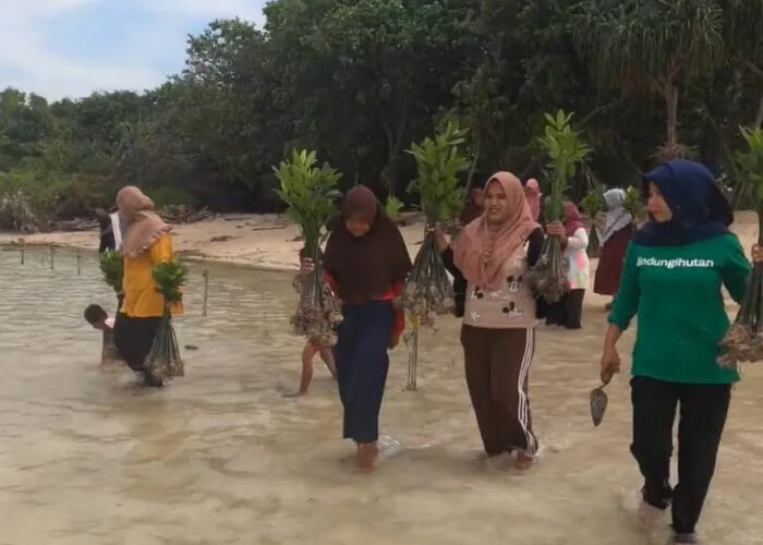 Perempuan Penjaga Pesisir: Mak Jah dan Teh Aas, Simbol Gerakan Hijau