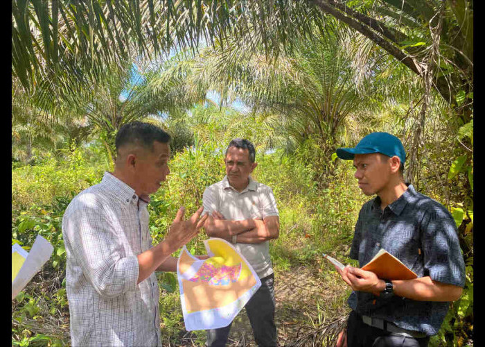 REA Berdayakan Lebih dari 600 Petani Swadaya di Kalimantan Timur untuk Kepatuhan EUDR dan Sertifikasi RSPO den