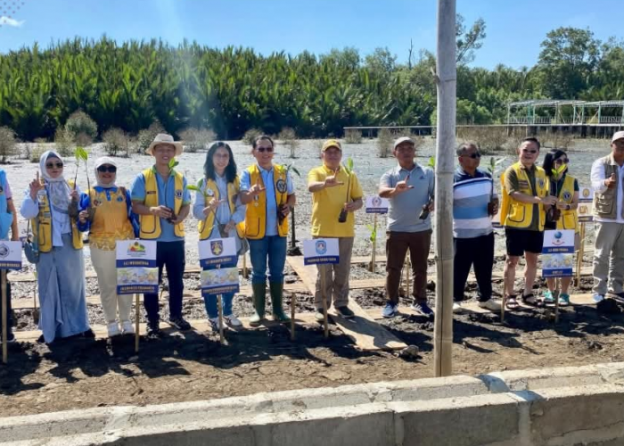 Upaya Tekan Dampak Perubahan Iklim, Kubu Raya Tanam Puluhan Ribu Mangrove