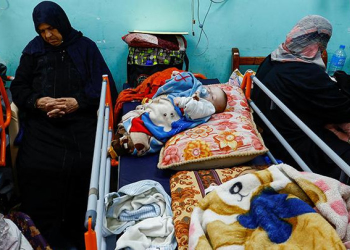 Warga Gaza Rela Mengais Sisa-Sisa Makanan TIkus Demi Bertahan Hidup