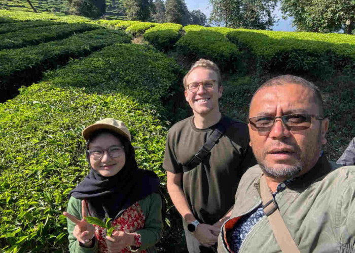 Holding Perkebunan Nusantara Dorong Promosi Global, Kebun Rancabali PTPN I Jadi Sorotan Media Amerika Serikat