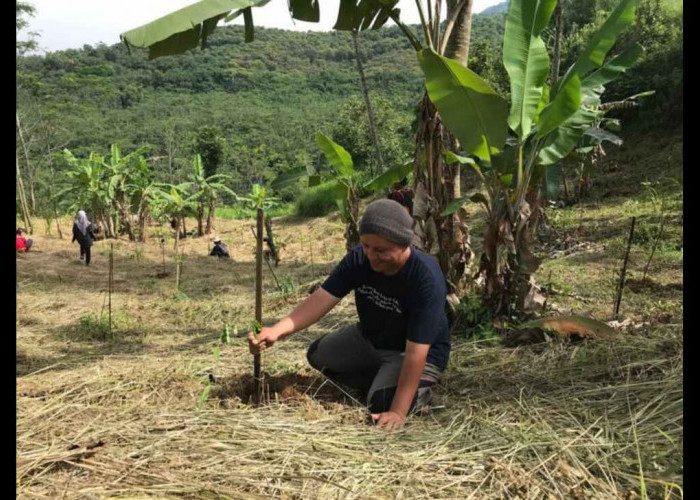 Ancaman Hilangnya Hutan Indonesia, Saatnya Meninjau Ulang Kebijakan Karbon Kita