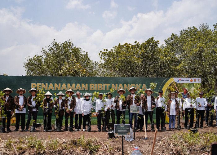 Perkuat Ketahanan Pangan dan Ekonomi Desa, Pertamina Gelar Panen Raya Nangka di Hutan Wanaboga Gunungkidul