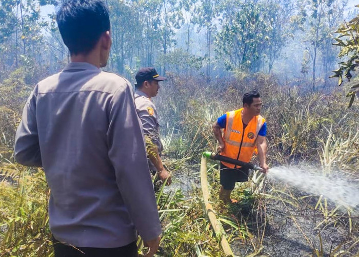 Karhutla Melanda Desa Galang, Tim Pemadam Kebakaran Berjibaku Memadamkan Api Dibantu 50 Warga