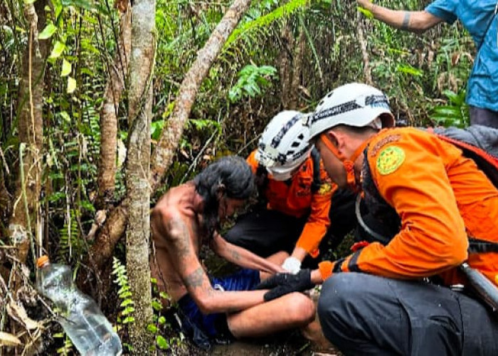 Ditemukan di Hutan Desa Pak Utan Mempawah, Tim SAR Gabungan Berhasil Selamatkan Warga yang Hilang