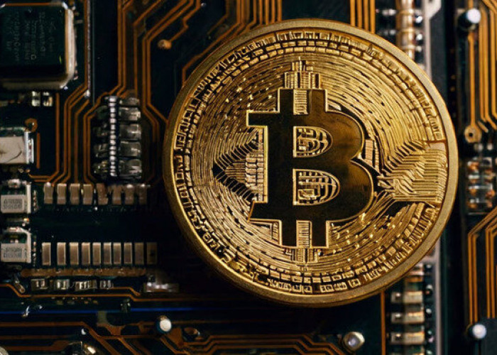 Ingin Untung dari Bitcoin? Simak Cara Beli Bitcoin yang Benar!