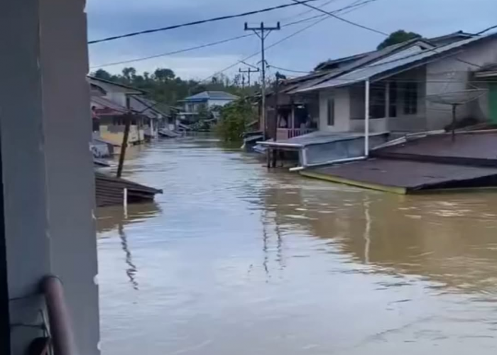 Ketinggian Banjir Manyuke Terus Meningkat, Sebagian Korban Sudah Dievakuasi ke Posko