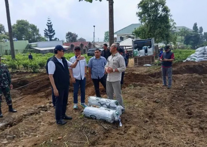 Holding Perkebunan Nusantara Kembangkan Kawasan Bawang Putih Berbasis Konservasi di Jawa Barat