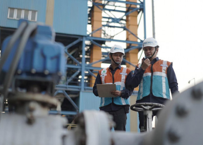 Pelindo Multi Terminal Branch Jamrud Nilam Mirah Catat Ekspor General Cargo Meningkat 153 Persen