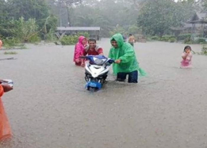 Fenomena Bulan Baru Picu Potensi ROB di Pesisir Kalimantan Barat, 30 Desember 2024 - 4 Januari 2025