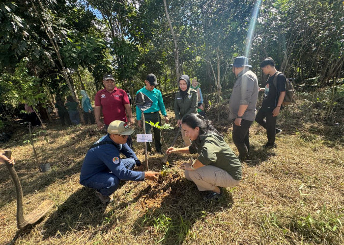 Peringati Hari Lingkungan Hidup, DLH Melawi Gelar Apel dan Tanam Pohon di Kawasan Hutan Kota