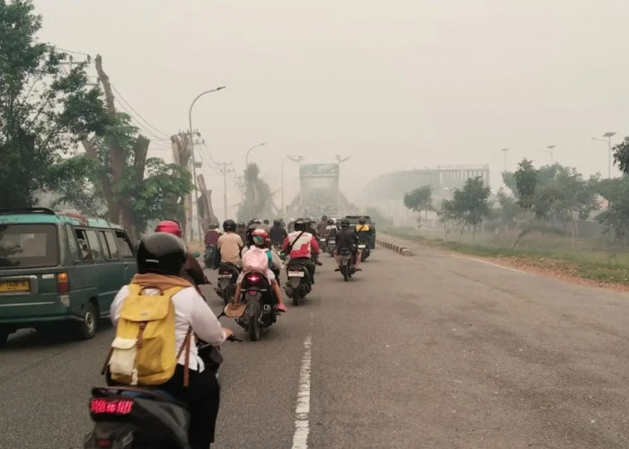 Jarak Pandang di Kalbar Mulai Pulih, Aktivitas Warga Berangsur Lebih Nyaman