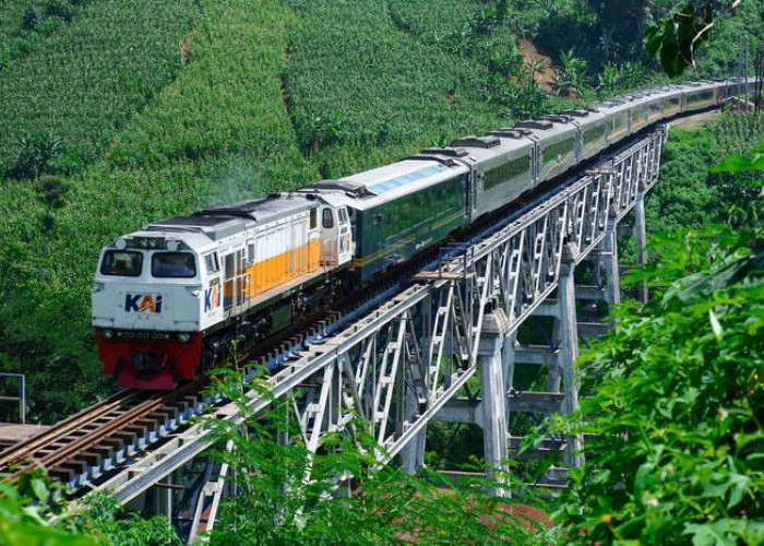 Pengalaman Berkesan Menikmati Keindahan Alam Indonesia Melalui Jendela Kereta Panoramic