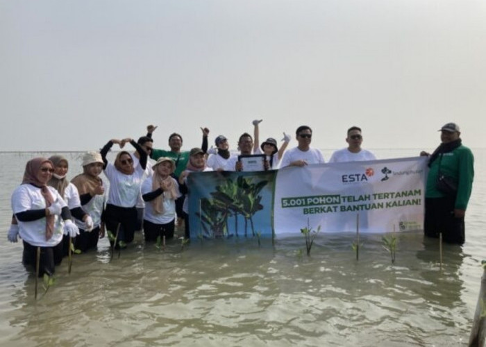 PT Esta Dana Ventura Tanam 5.001 Pohon Mangrove di Pesisir Indramayu