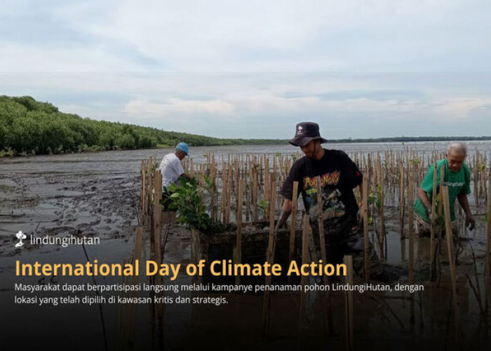 International Day of Climate Action: Saatnya Bumi Butuh Tindakan Nyata, Tanam Pohon Jadi Solusi Konkret