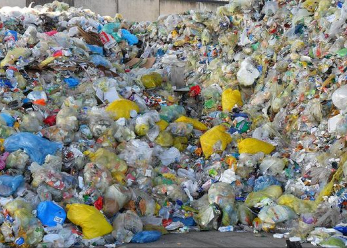 Penggunaan Plastik Sekali Pakai Terus Meningkat, Apa Dampaknya pada Lingkungan?