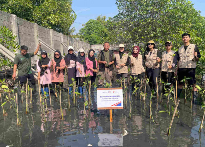 KAI Logistik Lanjutkan Komitmen Keberlanjutan melalui Penanaman 270 Bibit Mangrove