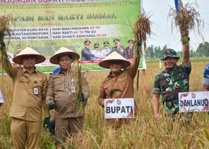 Panen Raya Teluk Nangka, Bupati Sujiwo Ajak Kebangkitan Pertanian Kubu Raya