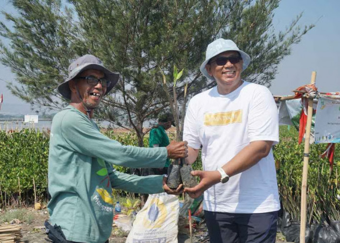 CSR Hijau Tak Hanya Soal Alam, Tapi Juga Kesejahteraan Sosial
