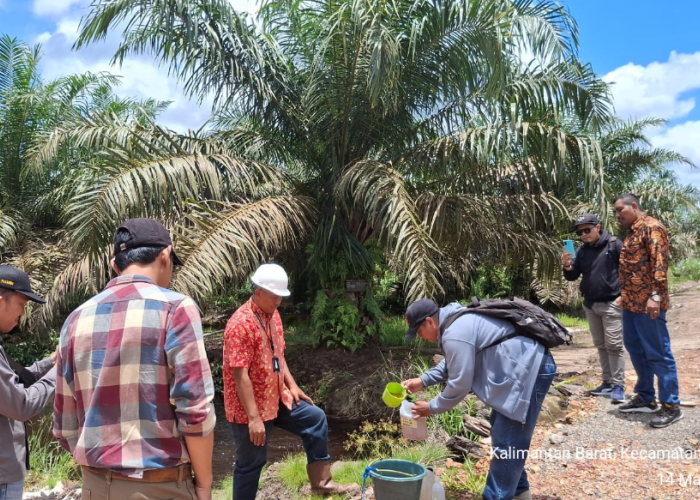 PT Ichiko Agro Lestari Tak Terbukti Cemari Lingkungan