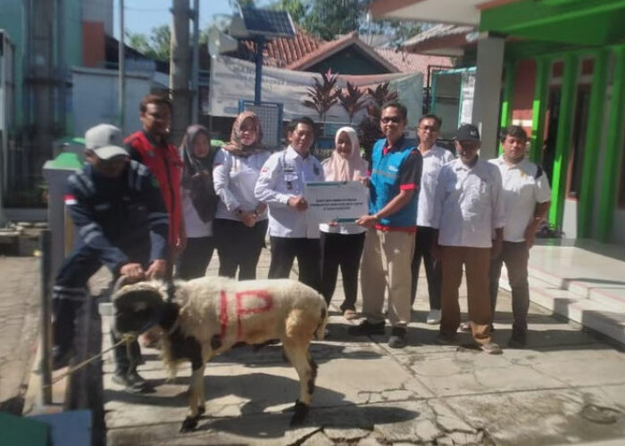 Peringati Hari Raya Idul Adha, UBP Jatigede Berikan Bantuan Hewan Qurban Ke Desa Sekitar