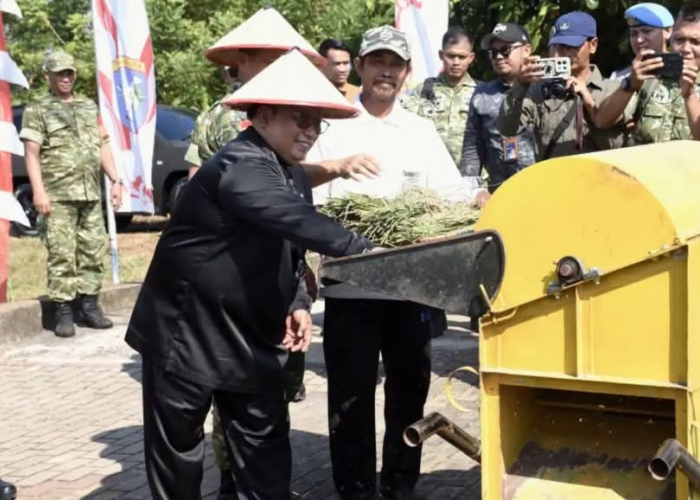 Panen Raya Serentak, Kubu Raya Perkuat Swasembada Pangan Nasional