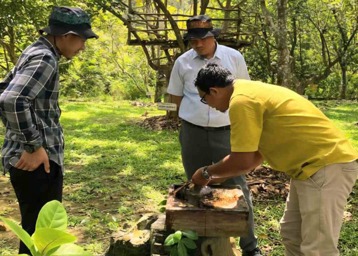 UMK Binaan MIND ID Berdaya Saing Tinggi, Omzet Naik hingga Tembus Pasar Global
