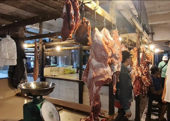 Pemkot Pontianak Pastikan Stok Daging Aman Jelang Iduladha