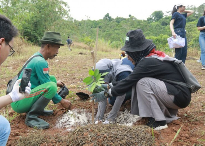 Sambut Plastic Free July, LindungiHutan Dorong Aksi Penanaman Pohon
