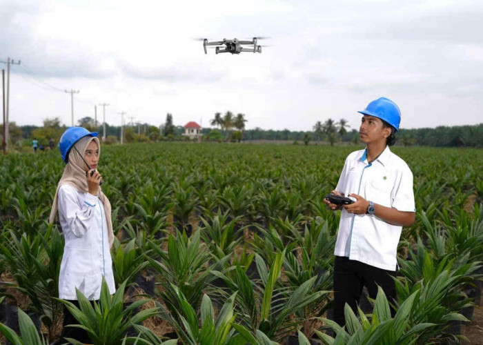 Holding Perkebunan Nusantara Percepat Transformasi Digital, PalmCo Sertifikasi Operator Drone Perkuat Sistem P