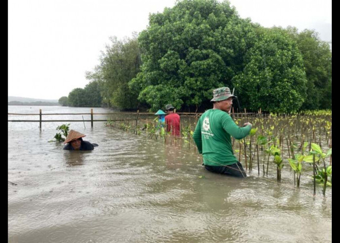 LindungiHutan Ajak Publik Lestarikan Alam di Hari Konservasi Alam Sedunia