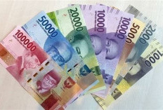 Daftar Lengkap UMP 2026 di 36 Provinsi, Dua Daerah Masih Belum Tetapkan