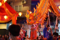 Cap Go Meh 2577 Pontianak, 49 Naga Bersinar Siap Meriahkan Jalan Gajah Mada