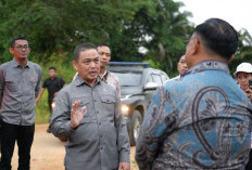 Ekonomi Kalbar Tumbuh 6,14 Persen pada Triwulan I 2026, Tertinggi di Kalimantan