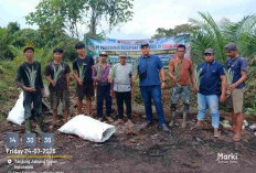 PTPN IV PalmCo Salurkan Bibit Nanas untuk Tingkatkan Ekonomi Warga Jambi