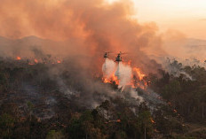 Pemprov Kalbar Kerahkan Dua Helikopter Sisir Titik Api di Sejumlah Wilayah