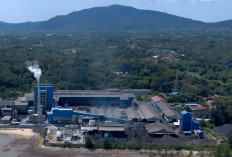 ESDM: Standar ESG Kini Jadi Penentu Akses Ekosistem Industri EV Global