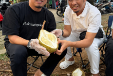 Awal Tahun 2026, Ustadz Luqmanul Hakim dan Abi Een Nikmati Durian Jemongko di Pontianak