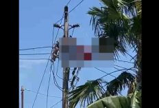 Nekat Panjat Tiang Listrik Demi Curi Kabel, Pria di Pontianak Selatan Tersengat Tegangan Tinggi