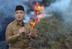 Pemprov Kalbar Perkuat Respons Karhutla dari Darat hingga Udara, Ria Norsan Kawal Perkembangan